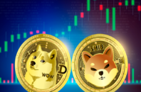 Обзоры мем-криптовалюты Dogecoin (DOGE) и токена Shiba Inu (SHIB): в чем разница и почему они популярны